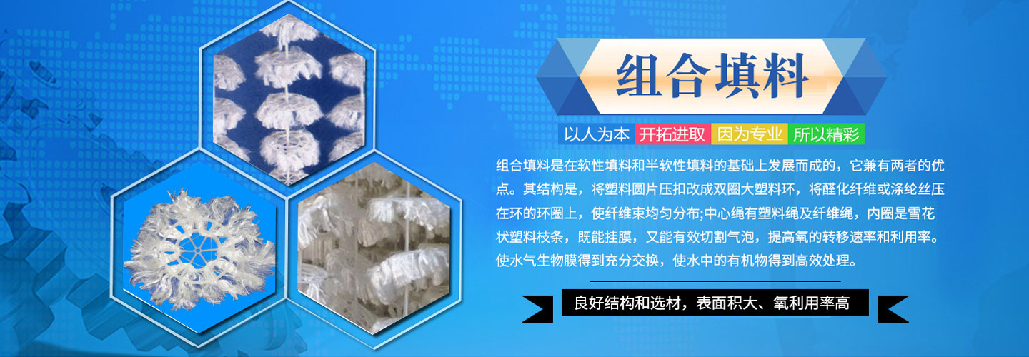 Z型斗式提升機(jī)